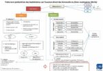 antibioest documentation algorithme de pec bactériémie à partir de led infectiologietrasversalec