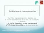 antibioest documentation endocardite antibiotherapieesc